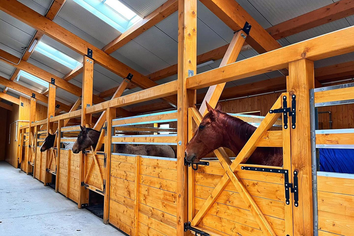 Astoria Horse Center 8