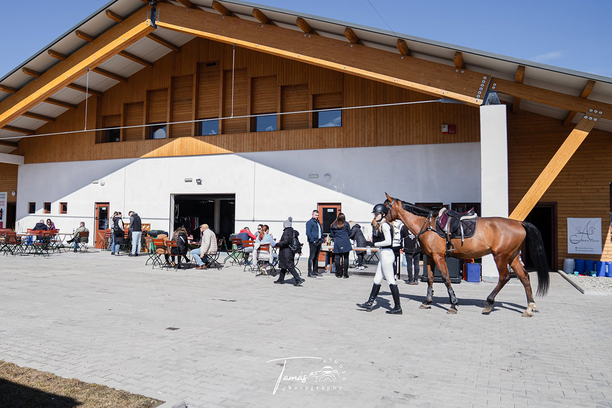 Astoria Horse Center 9