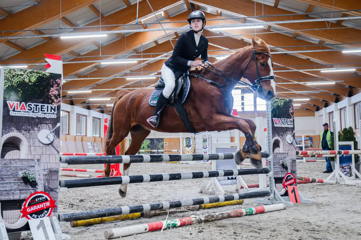 Astoria Horse Center 10